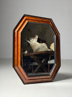 Tortoise Spiegel 20e eeuw