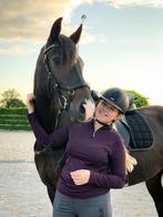 Stalling & weidegang gezocht, Stalling