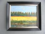 olieverf linnen bollenvelden, Antiek en Kunst, Ophalen of Verzenden
