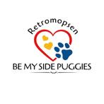 Ervaren Dekreuen Mops-Retromops (Niet te koop), Dieren en Toebehoren, 6 jaar of ouder, Parvo, Nederland, Reu