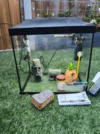 Aquarium superfish start 30, Dieren en Toebehoren, Vissen | Aquaria en Toebehoren, Ophalen, Leeg aquarium