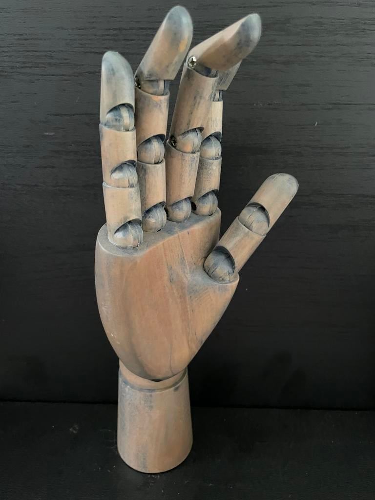Anatomische tekenhand, Ophalen of Verzenden