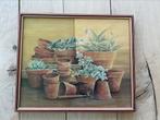 Prent met bloempotten en vetplanten ingelijst, Ophalen of Verzenden, Minder dan 50 cm, Schilderij, Minder dan 50 cm