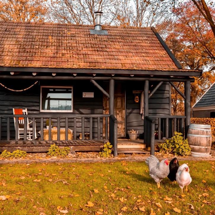 Gezocht: woning plus plek pony's omgeving Zutphen, Huizen en Kamers, Op zoek naar een huis