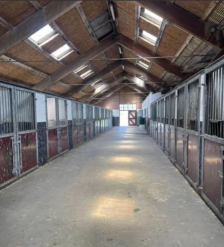 Stalling vrij bij Manege de Dollard te Winschoten, Dieren en Toebehoren, Stalling en Weidegang, Stalling, 4 paarden of pony's of meer