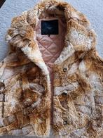 Vanila bodywarmer mt L, Kleding | Dames, Jassen | Winter, Verzenden, Zo goed als nieuw