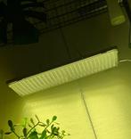 Relassy full spectrum LED Lamp, Ophalen of Verzenden, Zo goed als nieuw, Kweeklamp
