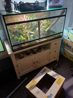 Mooie terrarium te koop, Dieren en Toebehoren, Ophalen of Verzenden, Zo goed als nieuw, Terrarium of Paludarium