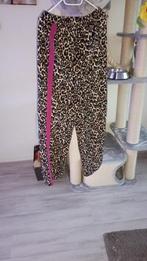dames broek  m, Maat 38/40 (M), Overige kleuren, Nieuw, Ophalen of Verzenden