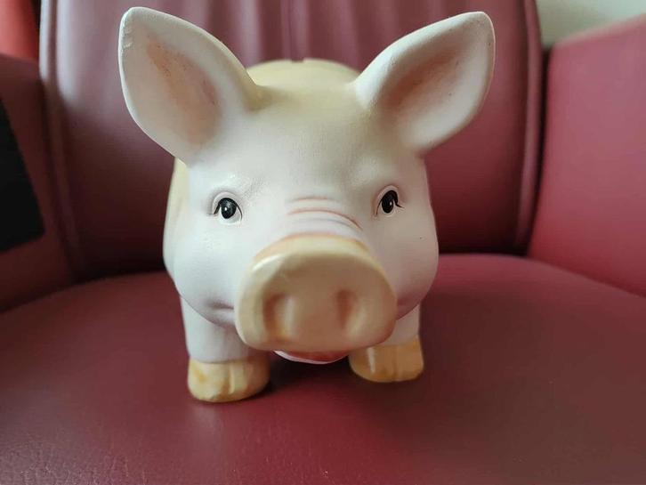 levensecht spaarvarken spaarpot kinderen pygg, Verzamelen, Spaarpotten, Zo goed als nieuw, Dier, Steen, Aardewerk of Keramiek