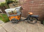Babboe curve-e bakfiets, 4 kinderen of meer, Gebruikt, Elektrisch, Ophalen