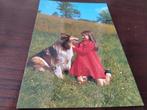 Schotse Collie met lassie details zie Foto's ongelopen., Ophalen of Verzenden, 1920 tot 1940, Vogel