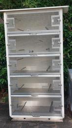Vogelkooi vogelflat kwekerkooi, Ophalen, Hout, Vogelkooi