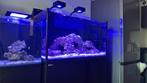 Red Sea Zee aquarium XXL G2 Garantie + Compleet Reef Systeem, Dieren en Toebehoren, Vissen | Aquaria en Toebehoren, Ophalen, Zo goed als nieuw