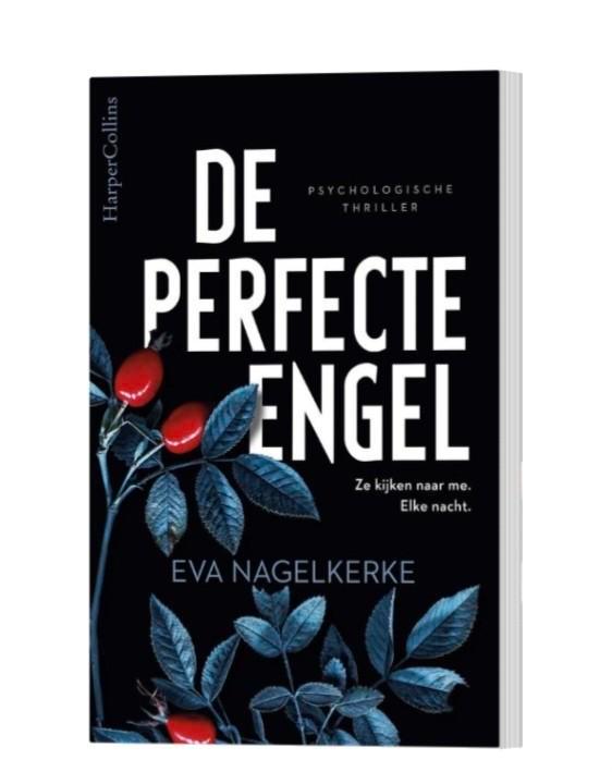 De Perfecte Engel - Eva Nagelkerke, Boeken, Thrillers, Zo goed als nieuw, Nederland, Ophalen of Verzenden