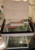 Superfish Panorama 20 LED aquarium, Ophalen, Gebruikt, Leeg aquarium
