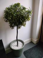 Kunstplant 95 cm hoog inclusief pot en decostenen, Ophalen, Gebruikt, Binnen