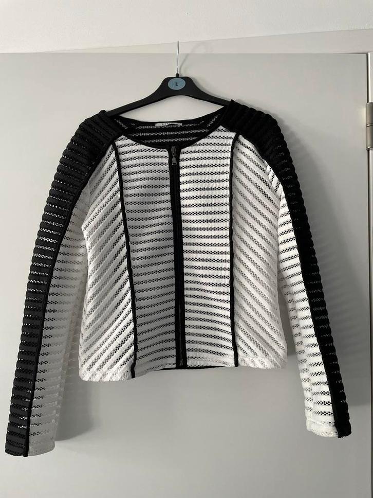 Zwart wit doorzichtig jasje transfer. Maat m zo gied als nie, Kleding | Dames, Jasjes, Kostuums en Pakken, Zo goed als nieuw, Jasje