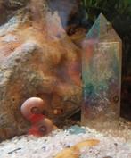 Posthoornslakken, Dieren en Toebehoren, Vissen | Aquariumvissen, Slak of Weekdier