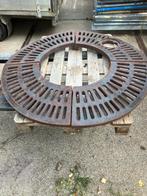 boomrooster buderus, Bloeit niet, Overige soorten, Minder dan 100 cm, Ophalen