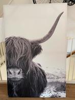 Schotse Hooglander Canvas - 115x75cm, Ophalen, 100 tot 125 cm, 75 cm of meer, Print
