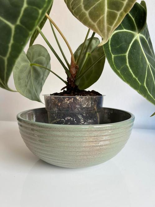 Vintage ADCO Ribbel Bloempot Schaal Mintgroen Patina 60’s, Antiek en Kunst, Antiek | Keramiek en Aardewerk, Ophalen of Verzenden