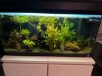 Juwel aquarium 110L zwart, Dieren en Toebehoren, Ophalen, Gebruikt, Leeg aquarium