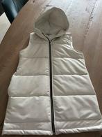 Bodywarmer maat 42 crèmekleurig, Ophalen of Verzenden, Zo goed als nieuw, Maat 42/44 (L), Beige