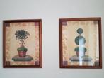 2 tekeningen van planten / boompjes in houten lijst 56x46 cm, Minder dan 50 cm, 50 tot 75 cm, Ophalen of Verzenden, Zo goed als nieuw