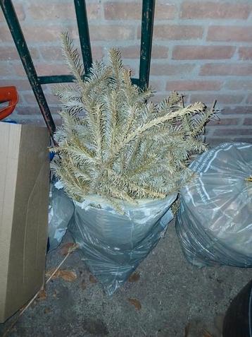 Gratis snoei  afval voor je composthoop   beschikbaar voor biedingen
