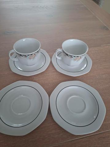 Winterling Roslau kopjes en schotels (vintage) beschikbaar voor biedingen