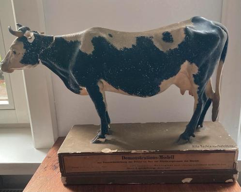 Demonstratiemodel koe met schade, Antiek en Kunst, Kunst | Beelden en Houtsnijwerken, Ophalen of Verzenden