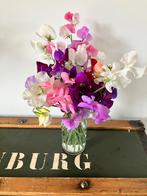 Lathyrus zaden (gemengd), Tuin en Terras, Verzenden, Voorjaar, Volle zon, Zaad
