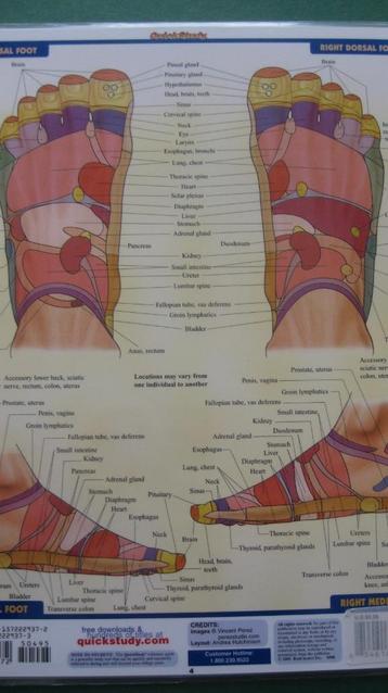Reflexology (Quick Study Academic Outline) beschikbaar voor biedingen
