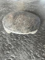 Oude chapati chaklota landelijk sober sleets, Ophalen of Verzenden, Gebruikt