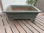 Grote Bonsai schaal Pot 43,5x32x14, Tuin en Terras, Bloempotten, Ophalen, Gebruikt, 40 cm of meer, Minder dan 40 cm