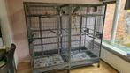 Papegaaienkooi groot, Ophalen, Gebruikt, Metaal, Vogelkooi