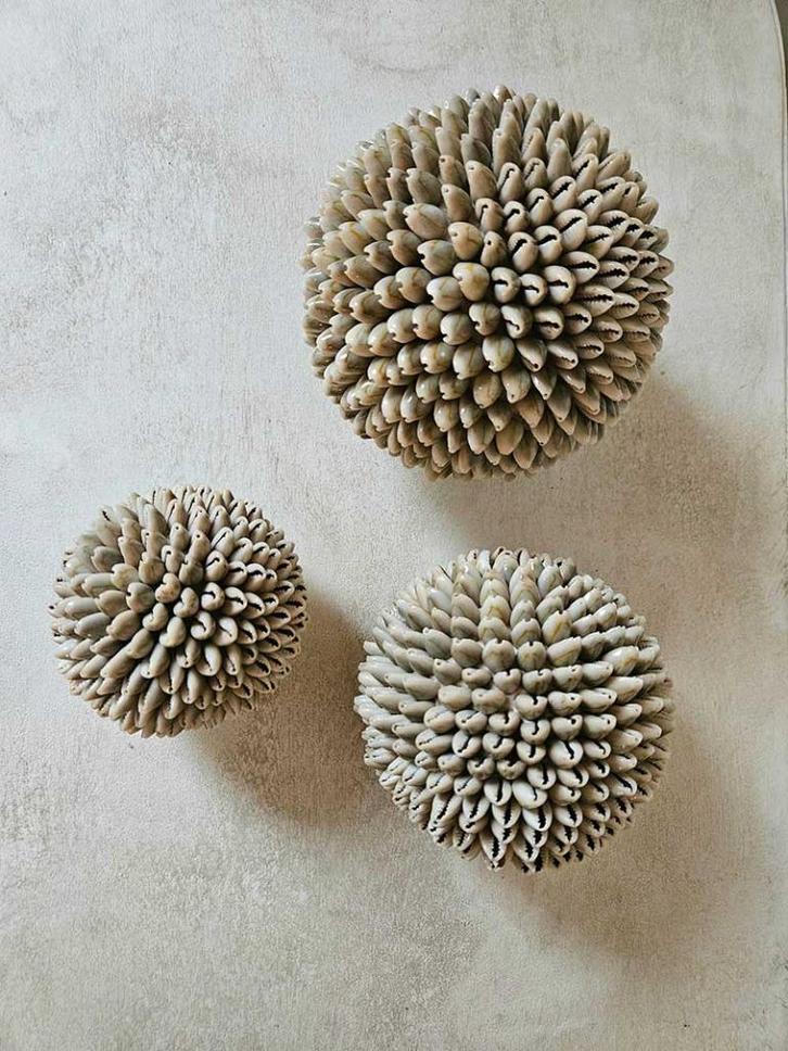 Schelpen decoratie bol 2 uit Bali, Huis en Inrichting, Woonaccessoires | Overige, Nieuw, Ophalen of Verzenden