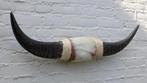 Texas style BULLBAR - waterbuffel hoorns (gewei), Ophalen of Verzenden, Nieuw, Boerderijdier, Overige typen