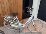 Batavus mambo moederfiets, Fietsen en Brommers, Ophalen, Gebruikt, Batavus