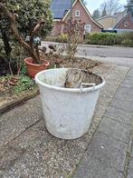 Gratis grote plastic kuip, Ophalen