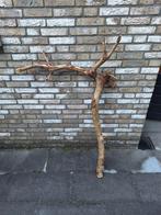 Boomtak, decoratie tak, krabpaal, zitstok, Huis en Inrichting, Woonaccessoires | Overige, Ophalen, Nieuw