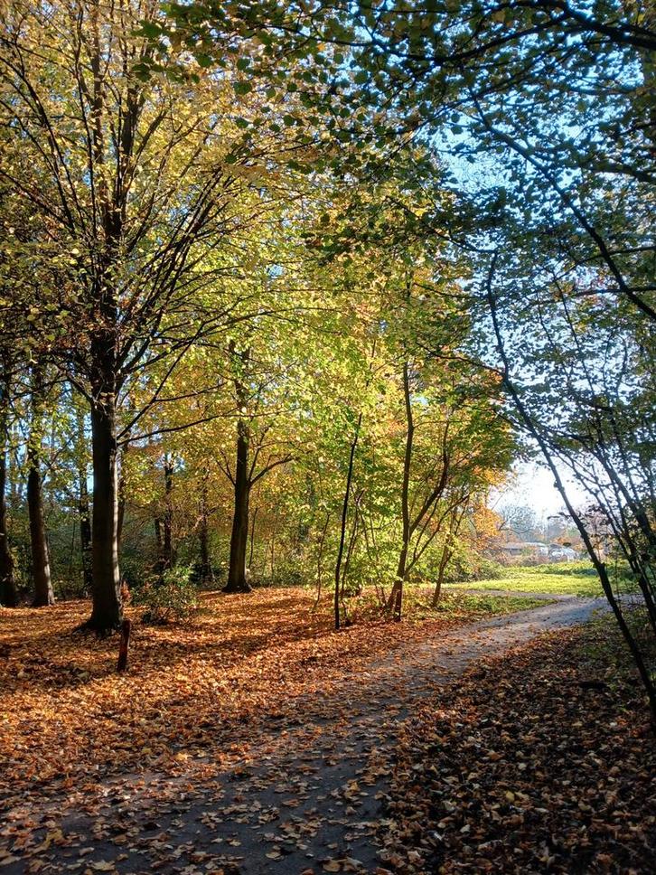 Opzoek naar een woning, studio of eventueel alternatief, Huizen en Kamers, Op zoek naar een huis