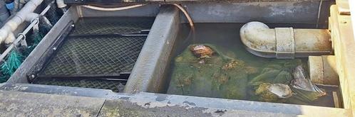 Vijver filters en onderdelen, Tuin en Terras, Vijver-toebehoren, Gebruikt, Vijverfilter, Ophalen