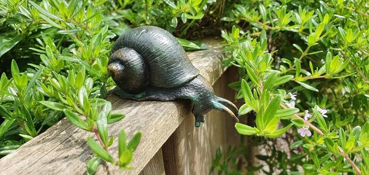 SLAK / BRONZEN BEELD / €19,95, Tuin en Terras, Tuinbeelden, Nieuw, Dierenbeeld, Ophalen of Verzenden