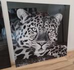 Glas Schilderij - Zwart-wit Luipaard, Ophalen, Zo goed als nieuw, Schilderij, 75 tot 100 cm