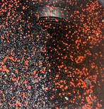 Gratis +/- 25 L grit voor aquarium., Dieren en Toebehoren, Vissen | Aquariumvissen, Vis