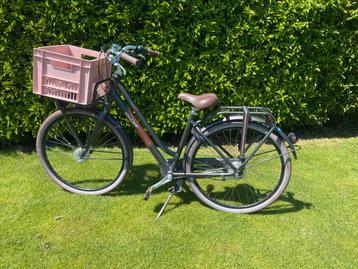 Giant Triple X 1 LDS M Charcoal Brown transportfiets beschikbaar voor biedingen