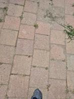 20 x 20 tegels, Ophalen, Gebruikt, Beton, Terrastegels