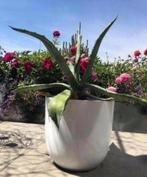 Grote luxe hoogglans keramische bloempotten overige maten, Tuin en Terras, Bloempotten, 25 tot 40 cm, Binnen, Terracotta, Rond
